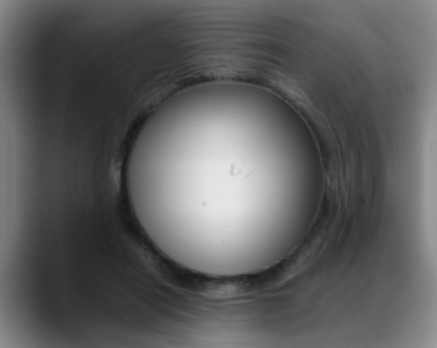 X0000089370454200706150846