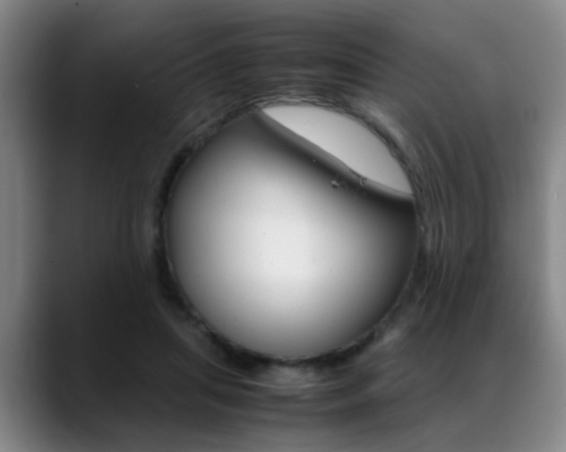 X0000089370455200706150846