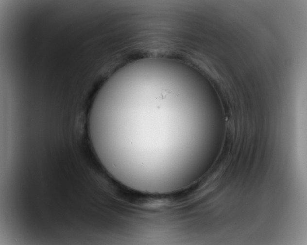 X0000089370458200706150846