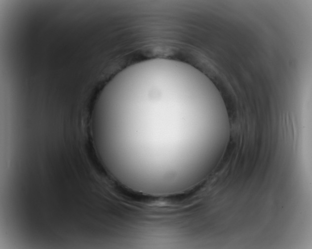 X0000089370460200706150846