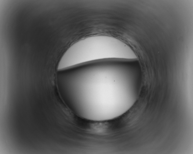 X0000089370465200706150847
