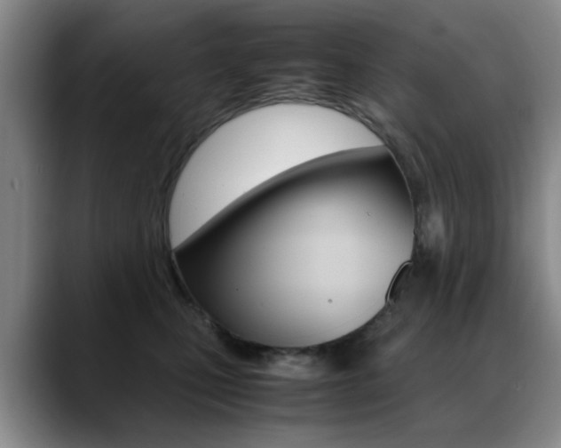 X0000089370471200706150847