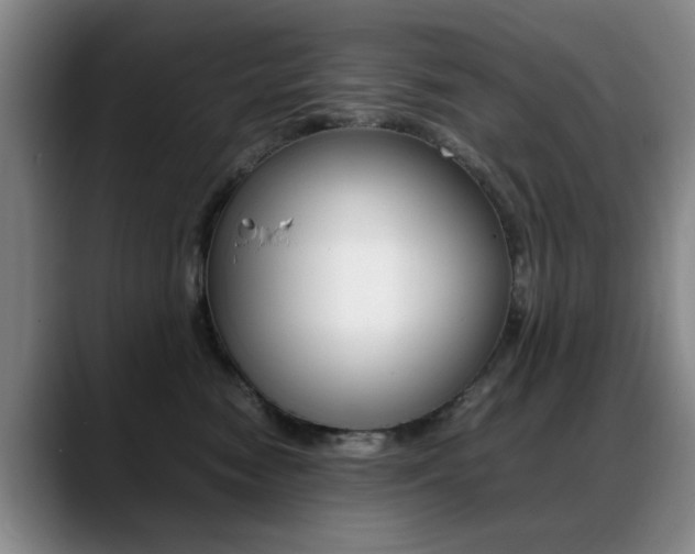 X0000089370474200706150847