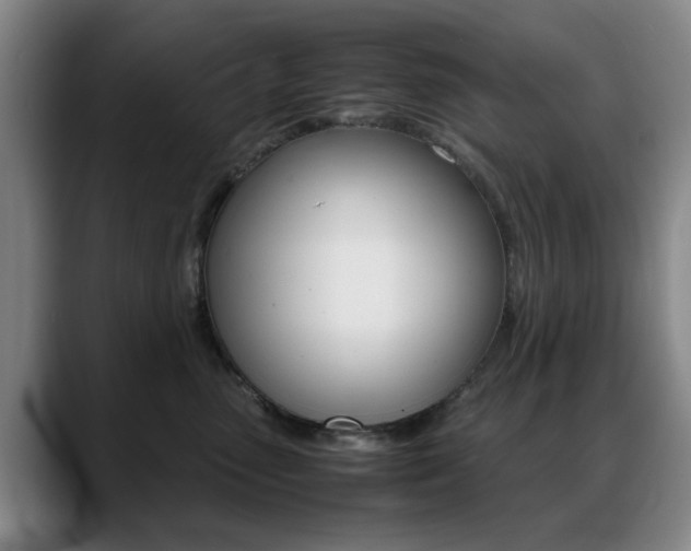 X0000089370475200706150847