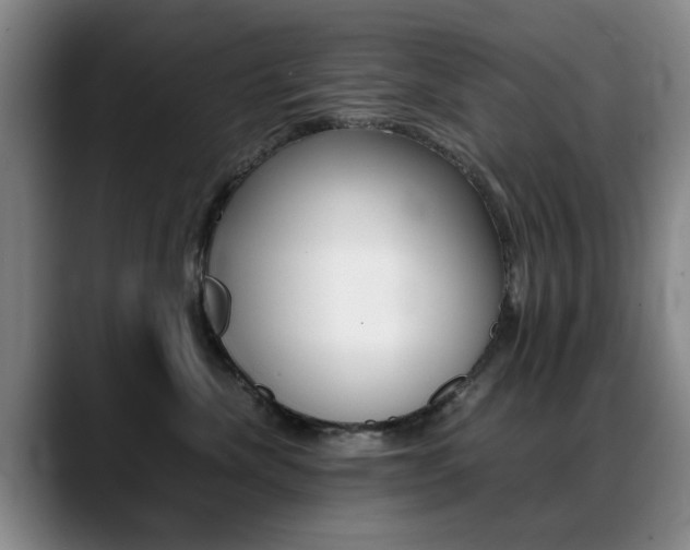 X0000089370476200706150847