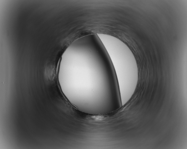 X0000089370478200706150847