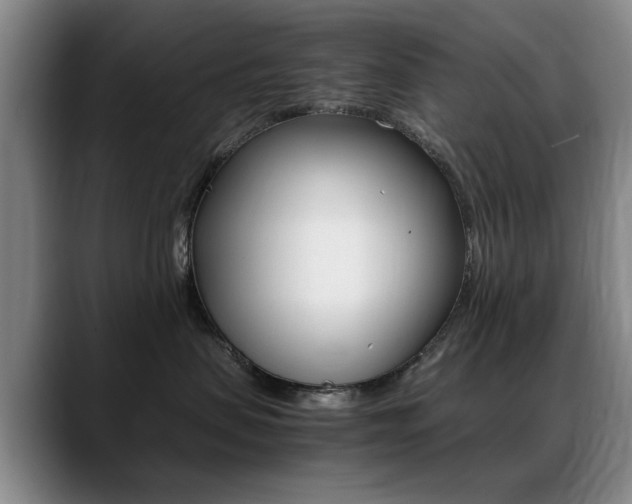 X0000089370479200706150847