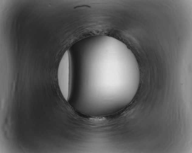 X0000089370480200706150847