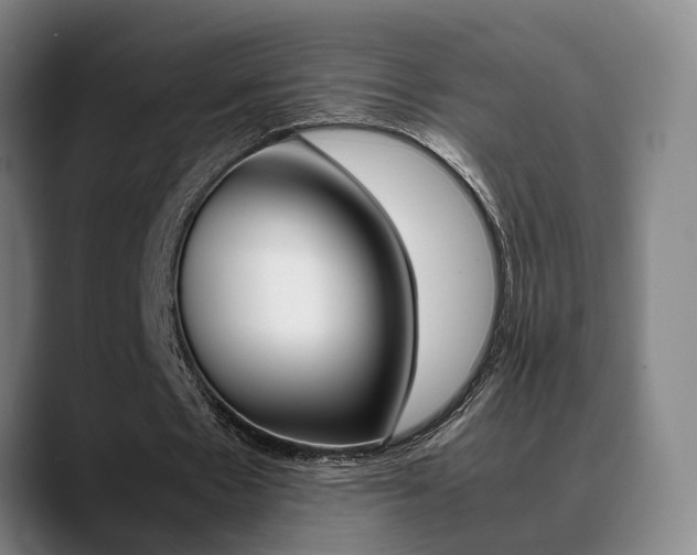 X0000089370481200706150846