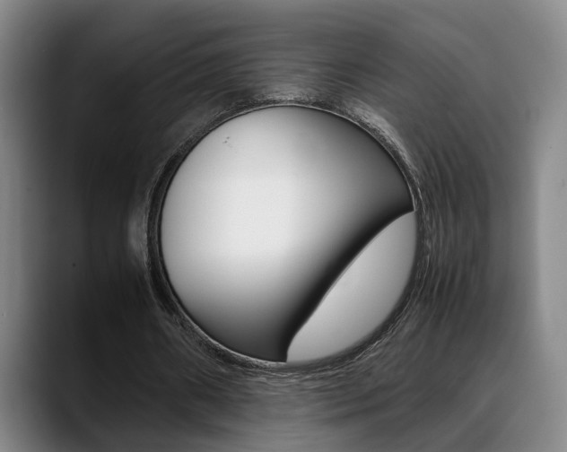 X0000089370482200706150846