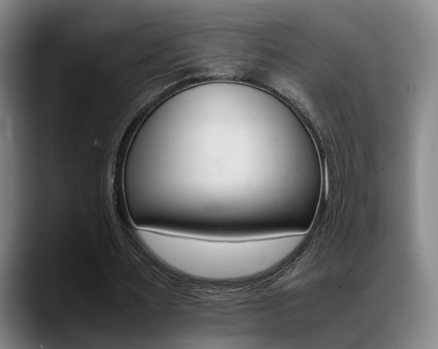 X0000089370483200706150846