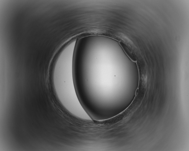 X0000089370484200706150846