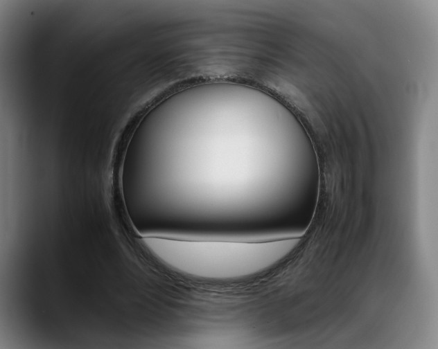 X0000089370488200706150846