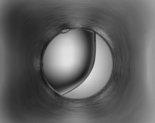 X0000089370489200706150846
