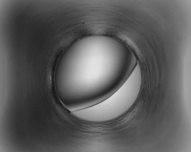 X0000089370493200706150846