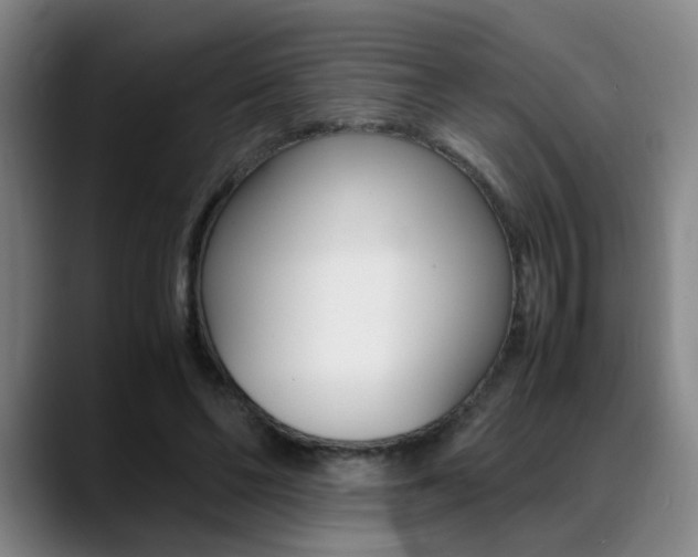 X0000089370494200706150846