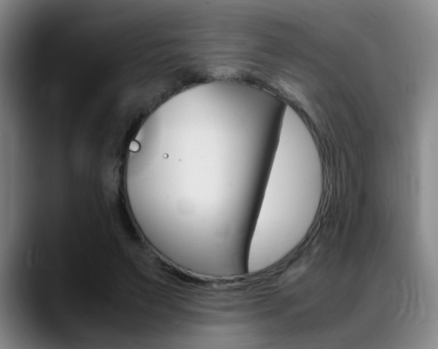 X0000089370495200706150846