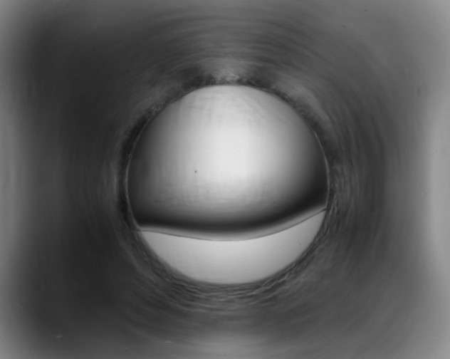 X0000089370496200706150846