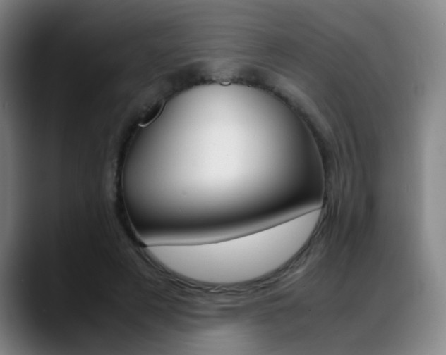 X0000089370497200706150846
