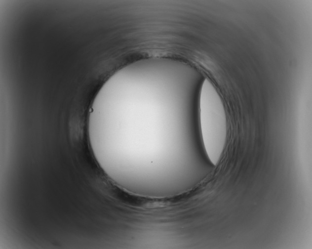 X0000089370499200706150846