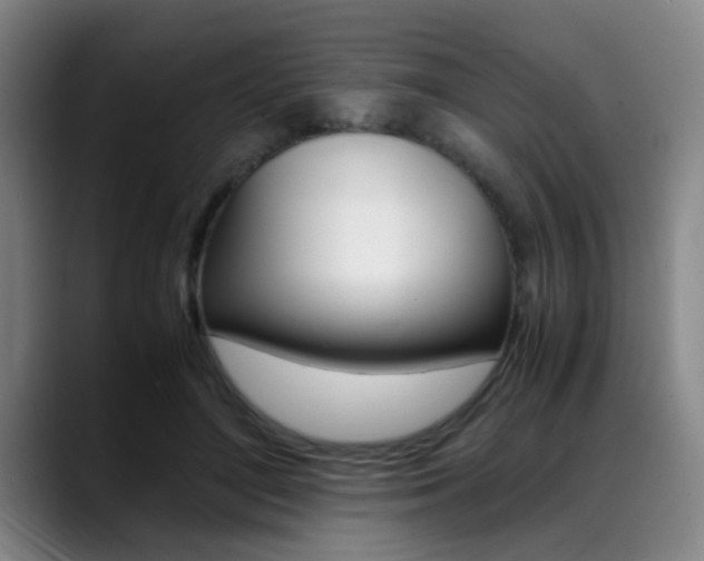 X0000089370500200706150846