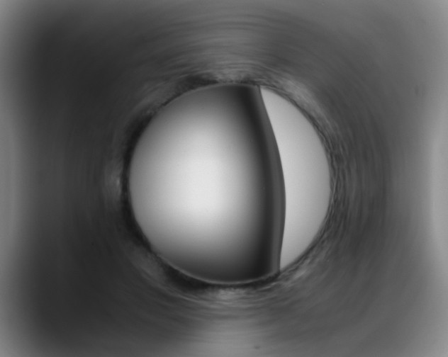 X0000089370501200706150846