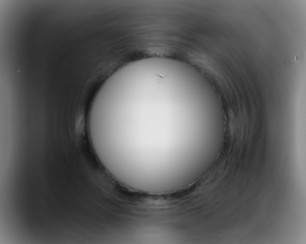 X0000089370502200706150846