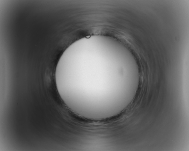 X0000089370503200706150846