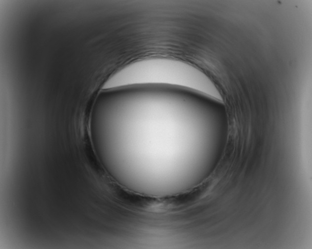 X0000089370504200706150846