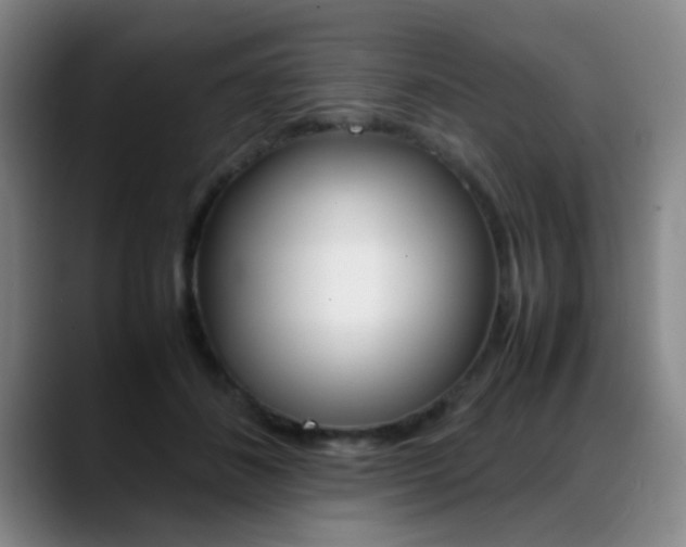 X0000089370508200706150846
