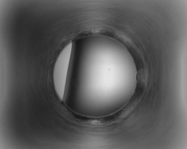 X0000089370509200706150846