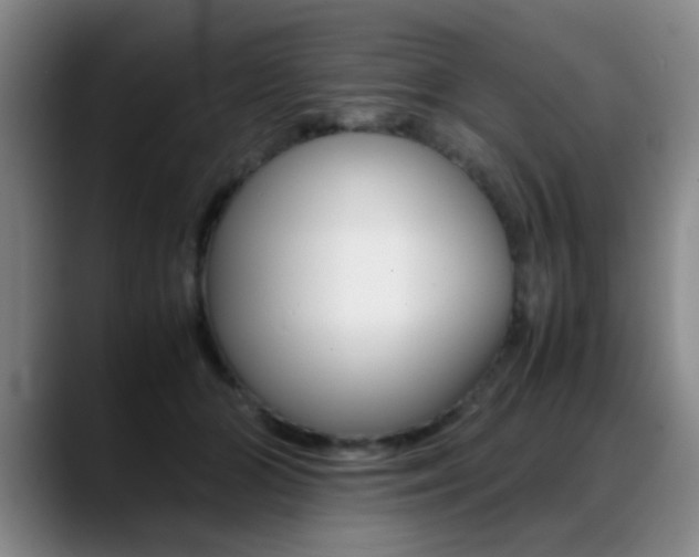 X0000089370510200706150846
