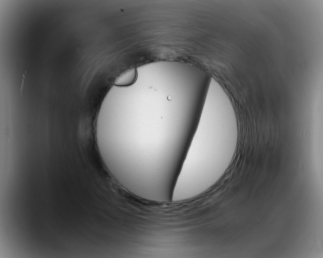 X0000089370511200706150846