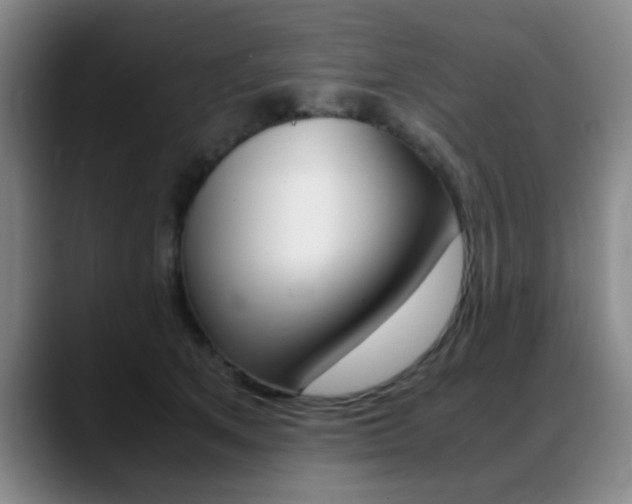 X0000089370513200706150846