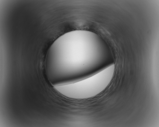X0000089370515200706150846