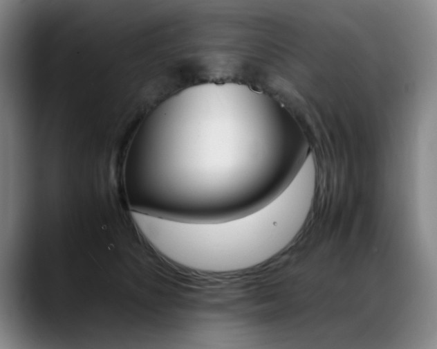 X0000089370516200706150846