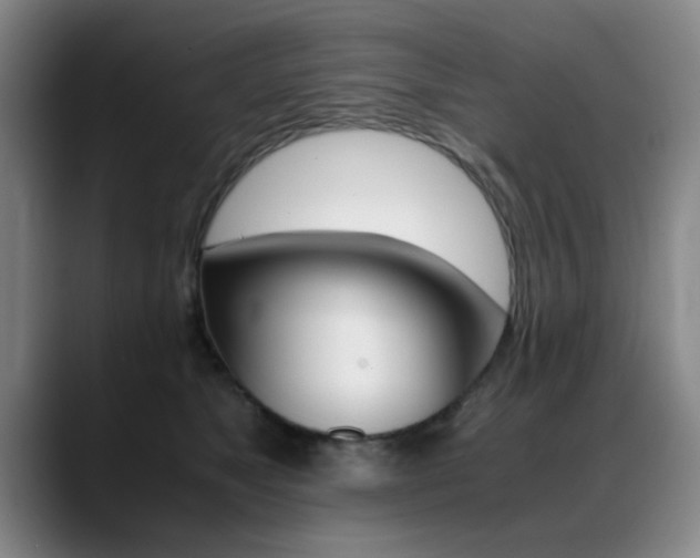 X0000089370517200706150846