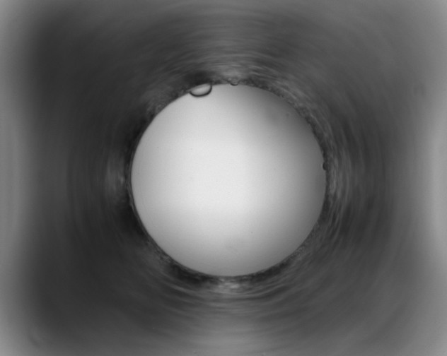X0000089370518200706150846