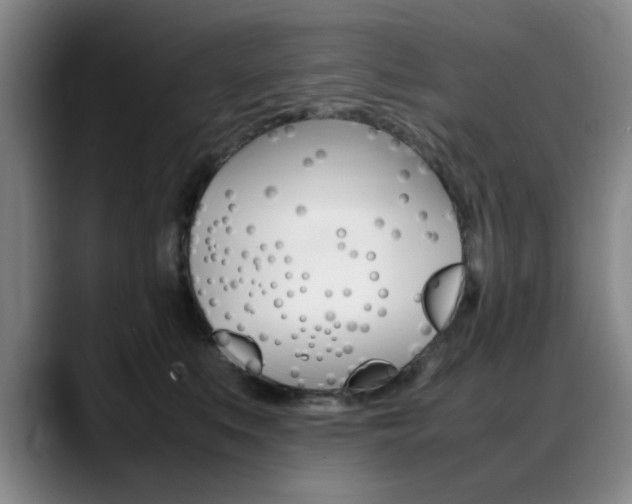 X0000089370519200706150846