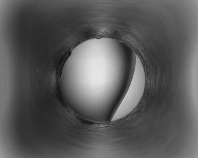 X0000089370520200706150846