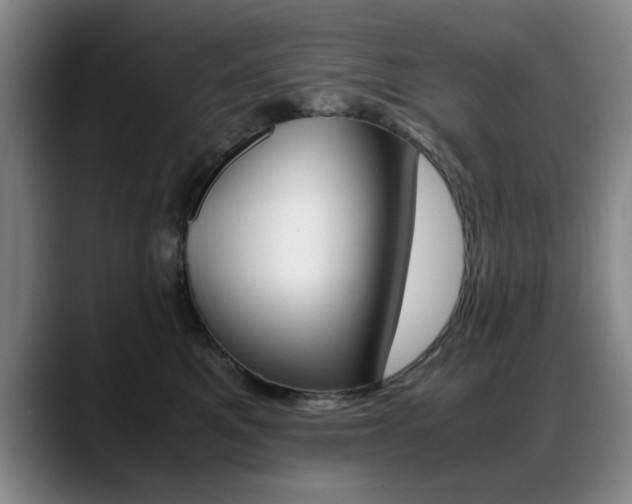 X0000089370521200706150846