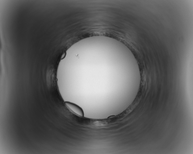X0000089370522200706150846