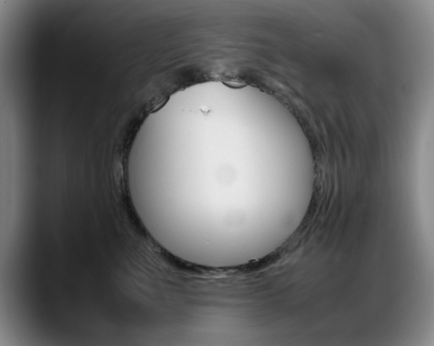 X0000089370523200706150846