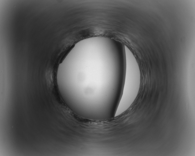 X0000089370524200706150846