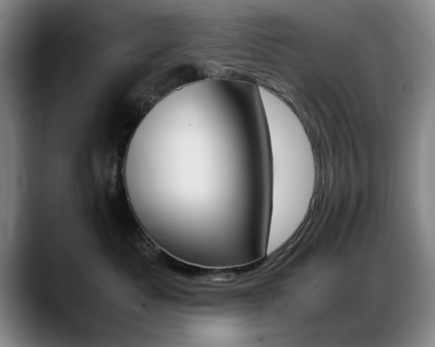 X0000089370525200706150846