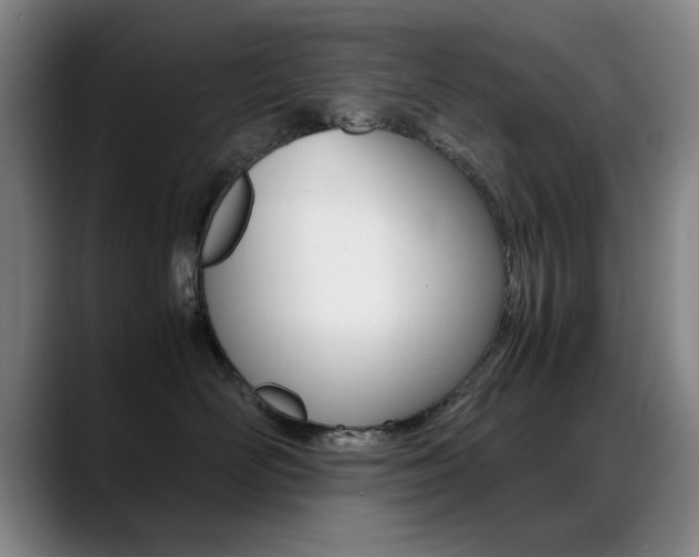 X0000089370526200706150846