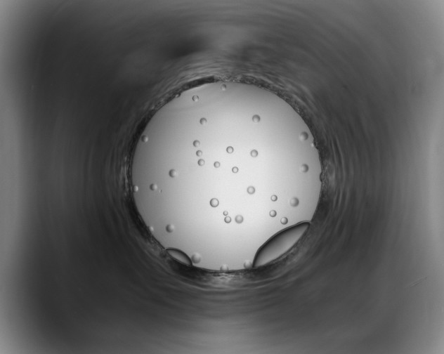 X0000089370527200706150846