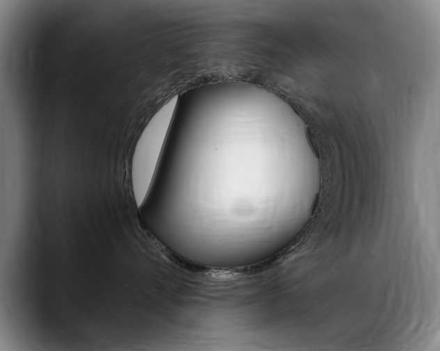 X0000089370528200706150846