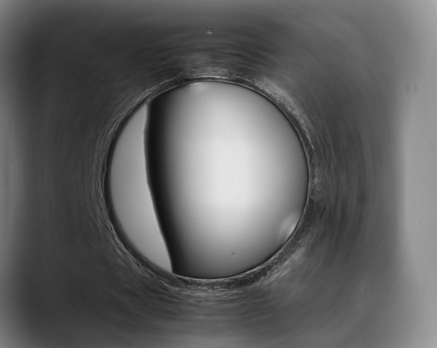 X0000089370529200706150845
