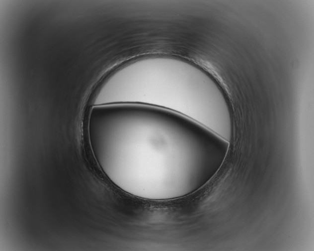 X0000089370531200706150845
